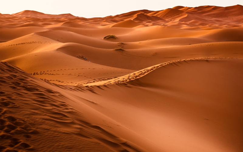 tranquility, beauty in nature, camel, sand dune, scenics - nature, sky, extreme terrain, climate, no people, arid climate, environment, tranquil scene