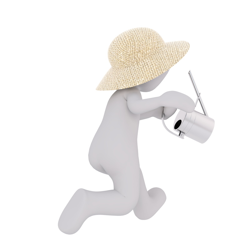 sun hat, indoors, casting, person, studio shot, males, flowers, 3d-model, isolated, water, people, white male, wireless technology, rear view, protection