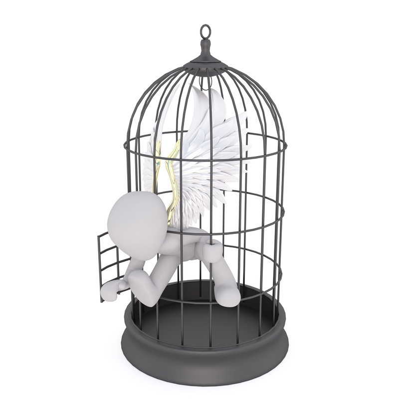 full body, close-up, males, 3d man, vertebrate, 3d, metal, cut out, cage, birdcage, indoors, model, no people, white background, studio shot, black, break out