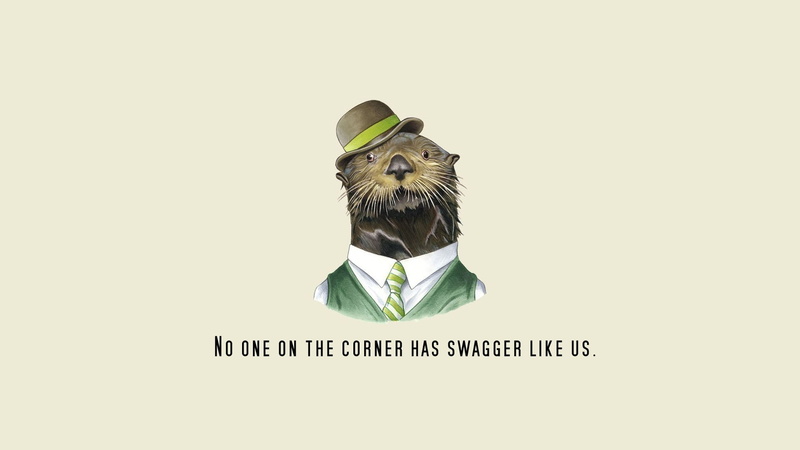 one animal, humor, animal themes, copy space, minimalism, hat, brown, cat, nature, representation, studio shot, front view, digital art, 1080P, western script