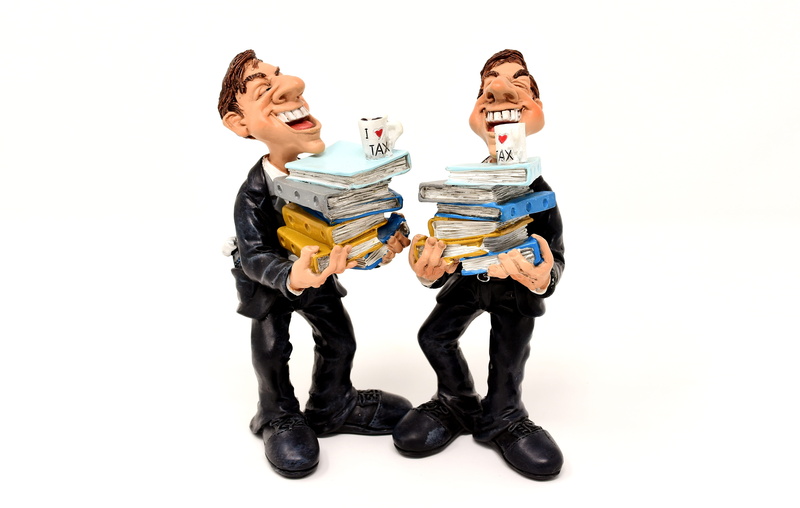 tax consultant, young adult, happiness, files, indoors, taxes, adult, papers, white background, two people, men, bureaucracy, finance, standing, billing