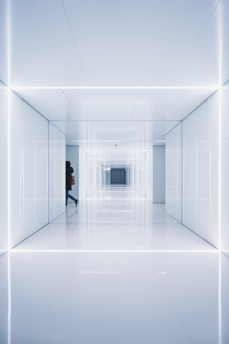 office, people, corridor, real people, contemporary, window, building, empty, wall, abstract, modern, indoors, entrance Hall, futuristic, space, men, walking