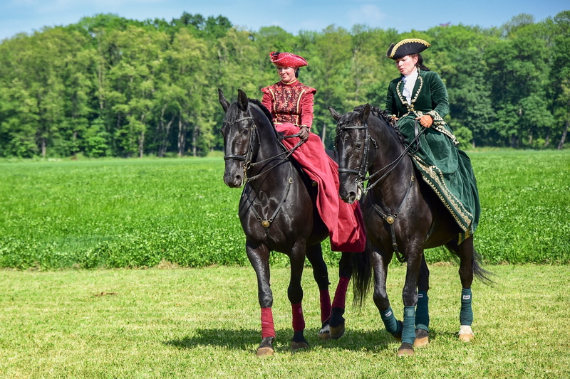 horse, pets, outdoors, mammal, animal themes, real people, field, caliper, two people, animal, land, horseback riding, livestock, green color, riding, grass
