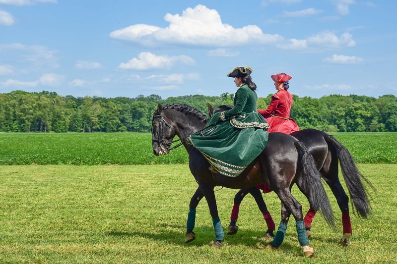 2K, animal wildlife, green color, riding, bridle, land, sky, field, plant, horseback riding, woman, outdoors, ride, pets, domestic animals, real people