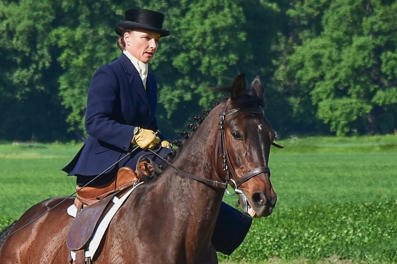 animal wildlife, livestock, caliper, pets, horseback riding, lady, real people, mammal, domestic animals, animal themes, animal, one animal, field, domestic