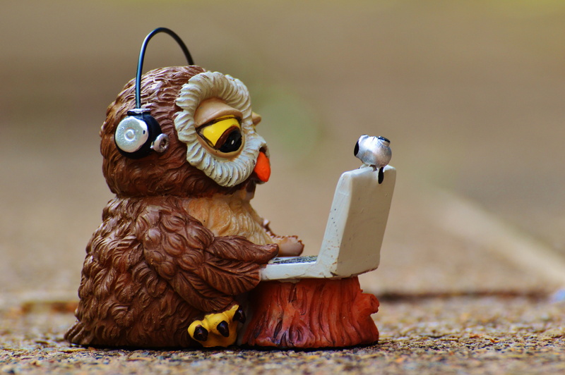 close-up, headphones, mammal, notebook, sweet, animal, vertebrate, funny, fun, one animal, toy, creativity, computer, animal representation, no people
