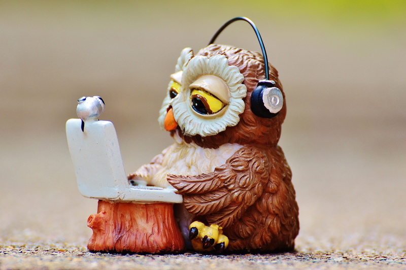 4K, innocence, computer, representation, device, headphones, funny, closeup, photography, cute, toy, laptop, technical device, wearing, animal, mammal
