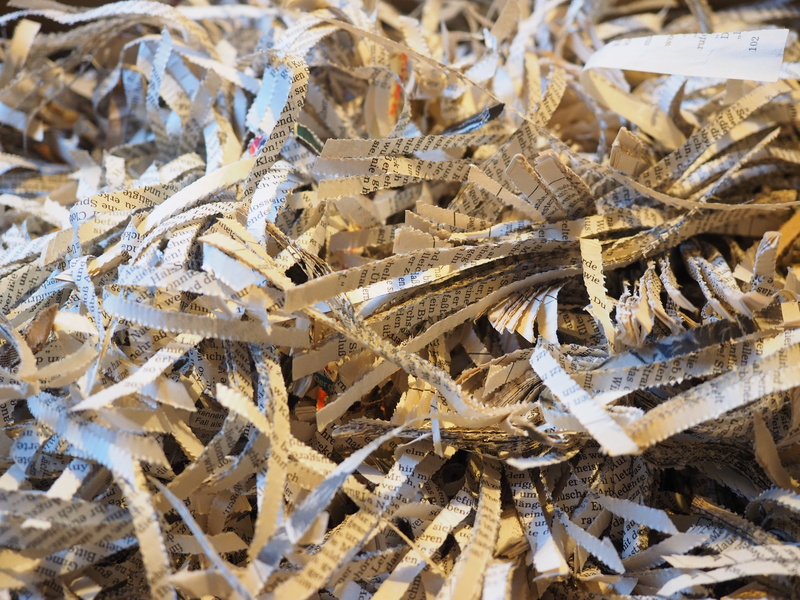 nature, paper strip, paper, high angle view, pile, sunlight, document shredder, privacy policy, shredded, shavings, land, wood - material, shredder, garbage