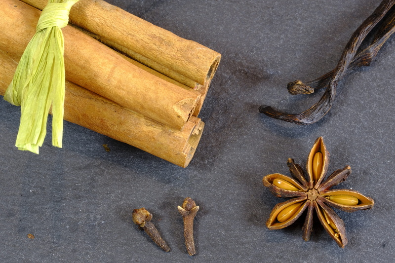 poinsettia, greeting card, still life, food and drink, postcard, no people, cloves, vanilla rod, star shape, wellbeing, variation, decoration, christmas card