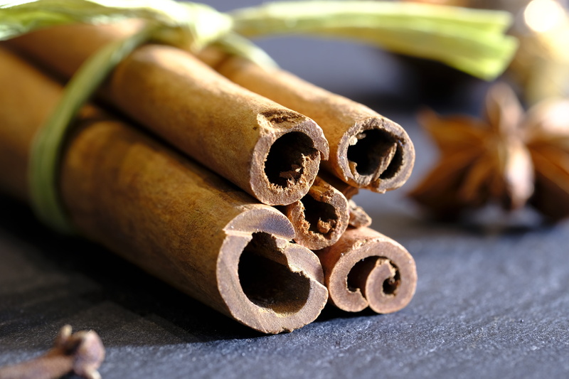 map, postcard, human skeleton, art and craft, christmas decoration, group of objects, still life, christmas card, weapon, indoors, bone, spices, 5K, cinnamon stick