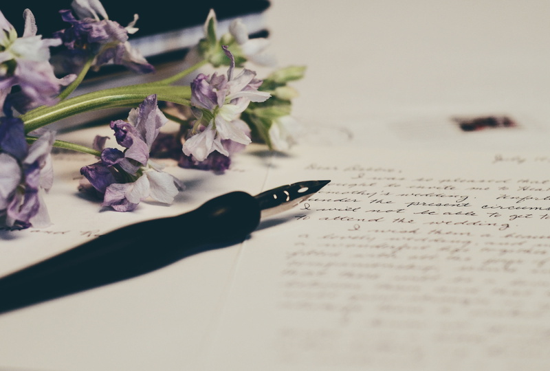 fountain pen, selective focus, table, 4K, freshness, printer, writing instrument, close-up, boudoir, pen, black, fragility, plant, vintage, fountain, nature