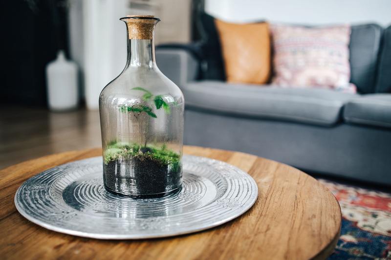 diy, table, nature, indoors, food and drink, still life, tiny, glass, wood - material, garden, selective focus, domestic room, terrarium, clean, no people