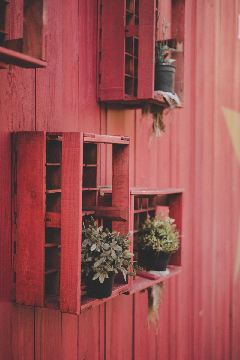 architecture And Buildings, old, outdoors, shutter, brown, wooden, door, diy, architecture, residential Building, building Exterior, red, barn, succulent