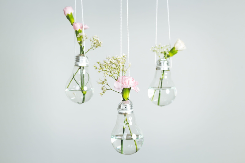 floral, single Object, vase, celebration, minimalistic, diy, hanging, decor, studio, vases, clear, light Bulb, electric Lamp, 4K, lightbulb, close-up
