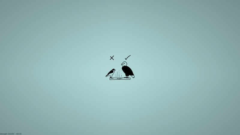 mode of transportation, nature, flying, copy space, travel, air vehicle, animal, 1080P, sky, day, outdoors, xkcd s, mid-air, aerospace industry, low angle view