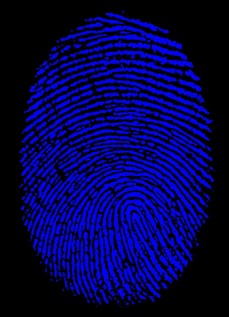 red, black background, abstract, shape, indoors, beauty in nature, pattern, blue, fingerprint, close-up, science, single object, cut out, circle, blue background