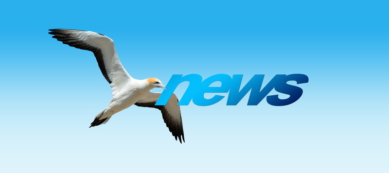 animals in the wild, broadcast, icon, above, electronic mail, news, text, animal body part, communication, blog, animal wildlife, newspaper, outdoors, newsletter
