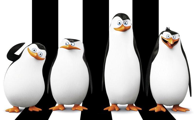 egg, close-up, spy team, figurine, studio shot, espionage, Cartoons, Rico, four, white color, still life, creativity, Penguins, Skipper, indoors, art and craft