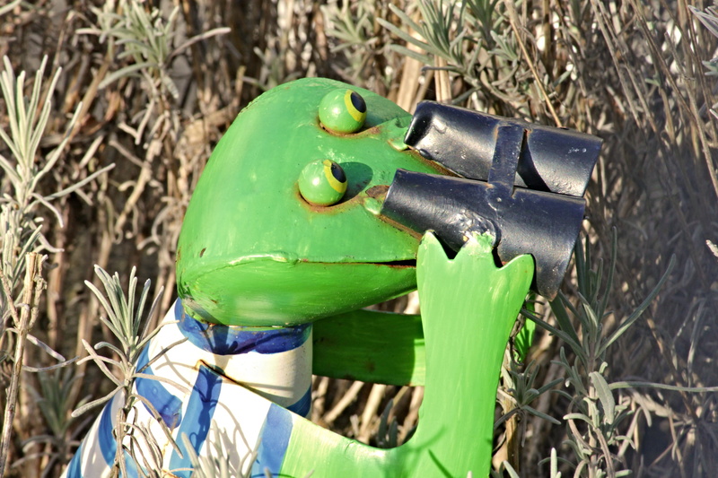plant part, binoculars, green, outlook, monitoring, optics, outdoors, peek, field, sunlight, decoration, plant, leaf, close-up, sheet metal figure, vision