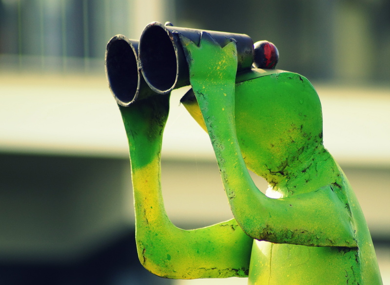 watch, day, view, close-up, cute, shape, focus on foreground, funny, binoculars, water, lookout, espionage, distant view, telescope, metal, green, safety