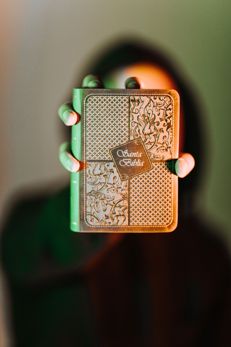 connection, silver colored, biblia, hand, adult, young, lady, green color, focus, posing, blurred background, single object, holy book, focus on foreground