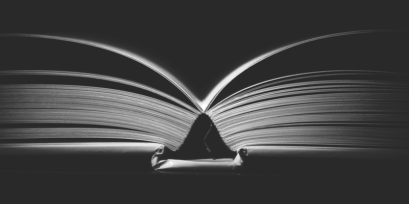 literature, paperwork, creativity, binding, wisdom, indoors, room, book, architecture, open, paper, publication, expertise, 2K, people, education, learning