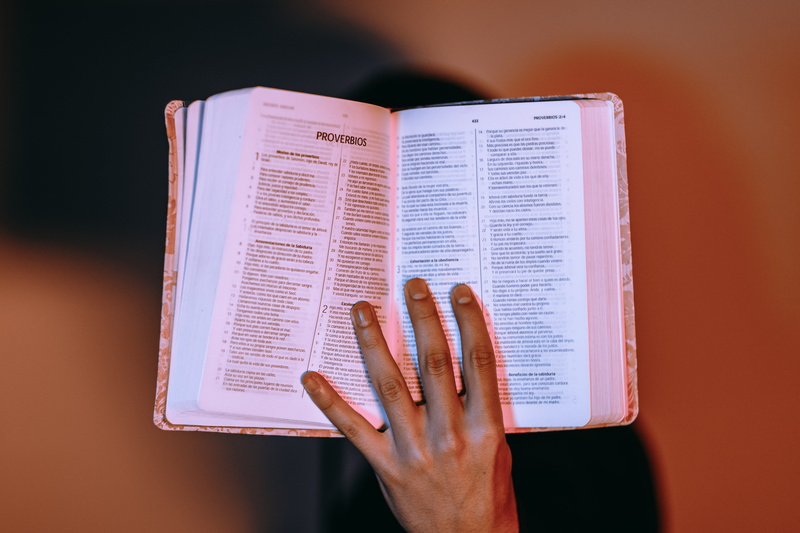 book, reading, information, human body part, testament, human hand, religious, adult, hand, paper, holding, holy, close-up, activity, bible, biblia, page