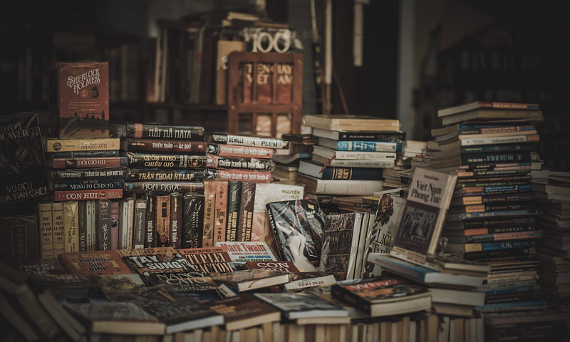 variation, pile, bookcase, selective focus, architecture, abundance, novel, stack, wood, stock, text, library, assorted, no people, shelf, books, education