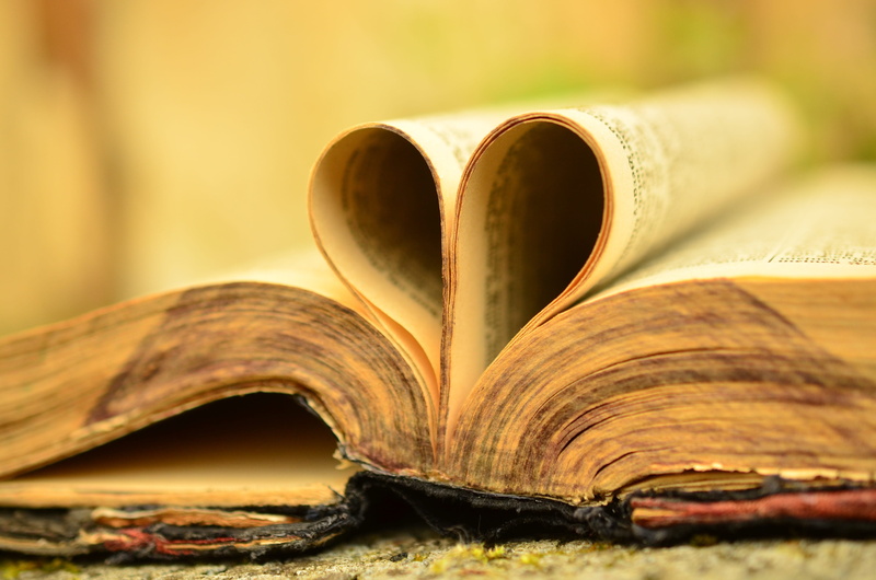 literature, read, text, wisdom, book, heart, christian, paper, focus on foreground, 4K, antique, printed, publication, old, close-up, communication, holy