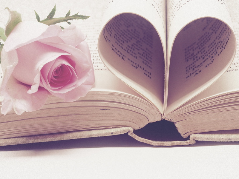 rose, romance, indoors, still life, classic, simple, page, no people, emotion, love, positive emotion, romantic, paper, close-up, beauty in nature, wisdom