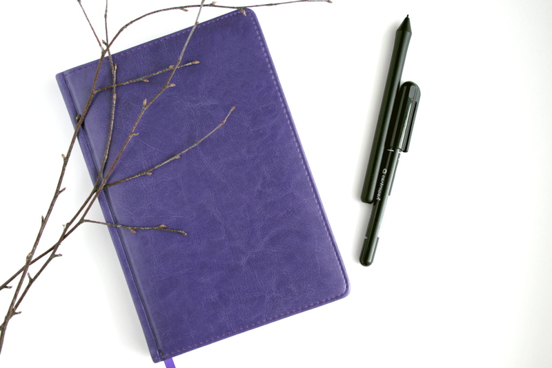 two objects, copy space, nib, planning, 4K, branch, workplace, notepad, fountain pen, close-up, notebook, from above, blank, pad, book, high angle view