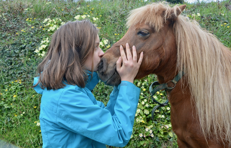 hair, plant, day, land, girl shetland pony, women, care, real people, horseback riding, kisses, lifestyles, small horse, kisses pony girl, long hair, females