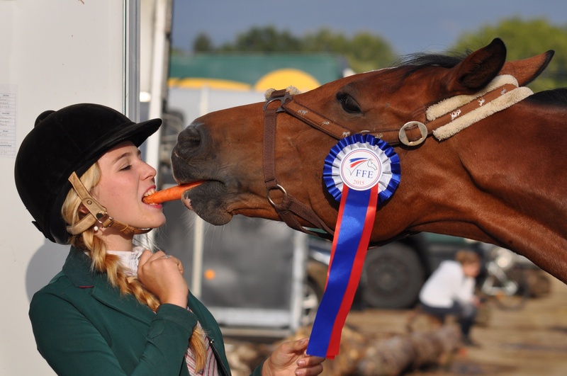 horse racing, herbivorous, animal themes, horse, livestock, hat, equestrian, mammal, domestic animals, mouth open, eating carrot, real people, winner, lifestyles