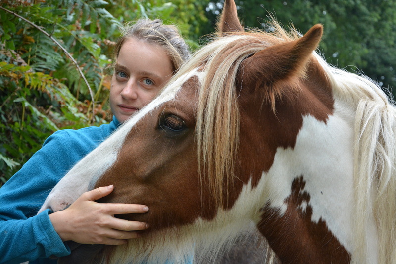 hug tenderness, hairstyle, mammal, day, 5K, pets, animal themes, complicity, horse, blond hair, domestic animals, animal wildlife, equine, one animal