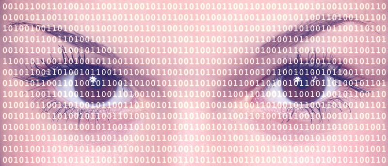 global communications, architecture, computer, text, technology, healthcare and medicine, browser, security, data, 4K, no people, cyber, pattern, hacking