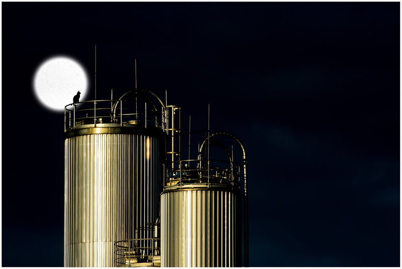 copy space, storage Tank, building exterior, silhouette, moon, silver colored, metal, tank, built structure, night, building, industry, cat, sky, grey