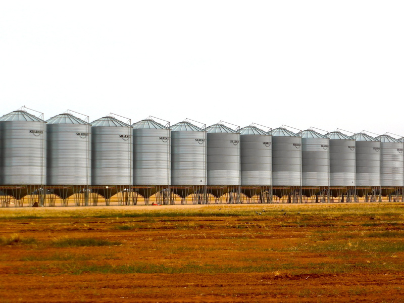 wheat, fuel storage tank, storage tank, farming, storage compartment, grain, in a row, 4K, cereal, silo, silver colored, sky, field, steel, nature, agriculture