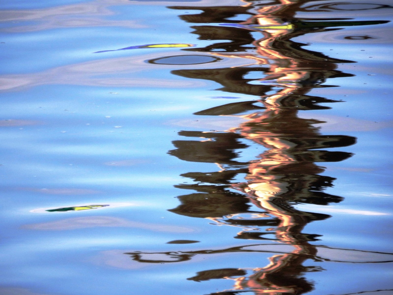 healing, background, wave, reflection, river, light, vivid, blue, water, cooperation, no people, colorful, abstract, space, texture, swimming, togetherness