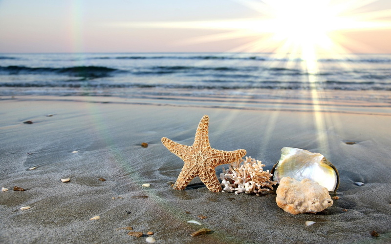 beach, 2K, sea, shells, ornaments, nature and landscapes, assorted, sand, symbols