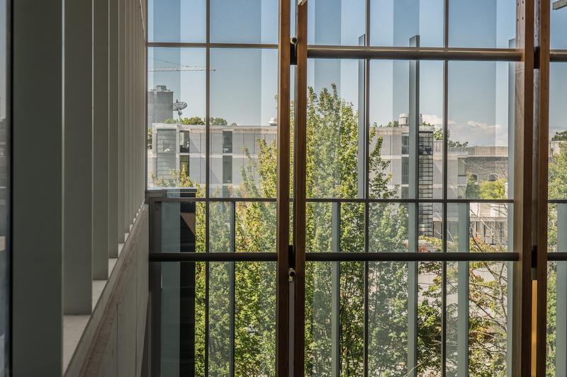 tree, 5K, curtain, green color, city, glass, transparent, university, plant, indoors, sky, architecture, looking Through Window, wood, building, glass - Material