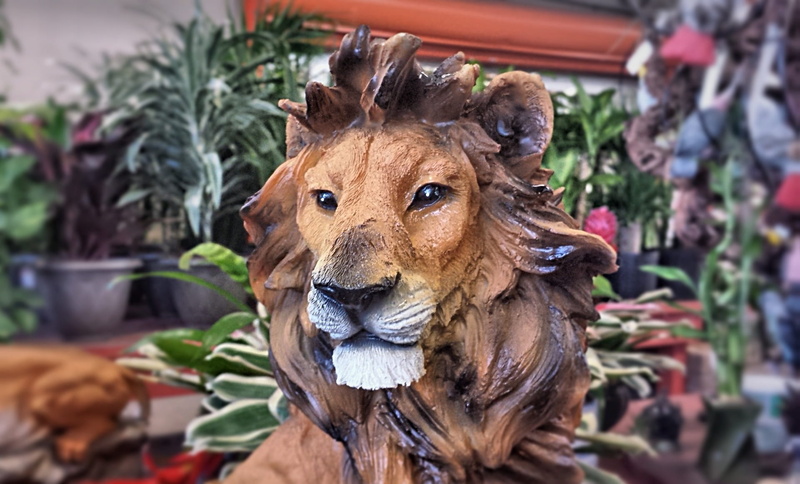 nature, plants, canine, zoo, animal body part, wildcat, predator, decoration, dog, mammal, feline, set, pets, danger, looking, cat, portrait, domestic animals