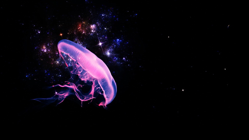 animals in captivity, underwater, dark, fish, sea life, render, fractal, 1080P, animals, sphere, luminosity, animal, globule, jellyfish, futuristic