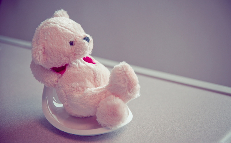 one animal, playful, animal, animal themes, child, sitting, single object, fluffy, softness, stuffed Toy, mammal, focus on foreground, love, toy, bear