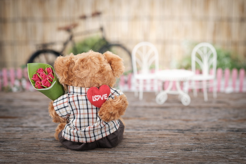 people, emotion, teddy bear, softness, valentine, cute, outdoors, rose, romantic, stuffed animal, little, fun, red, domestic, hairstyle, love, objects