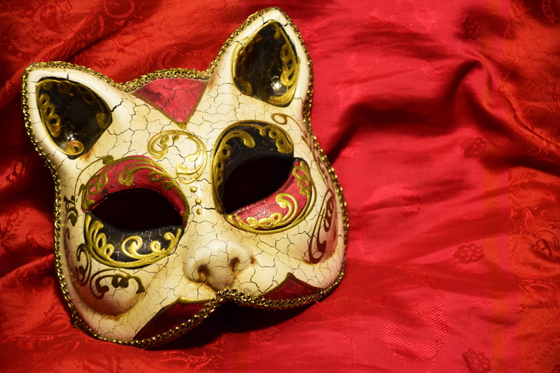 gold, greeting card, 5K, carnival, larva, festival, mask, color, pattern, textile, cat mask, cat, face, arts culture and entertainment, red, still life