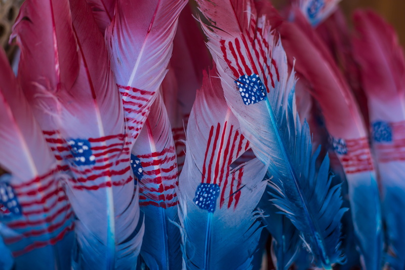 day, 5K, backgrounds, human body part, close-up, selective focus, white, feather, indoors, people, cultures, u, growth, red, pink color, full frame, multi Colored