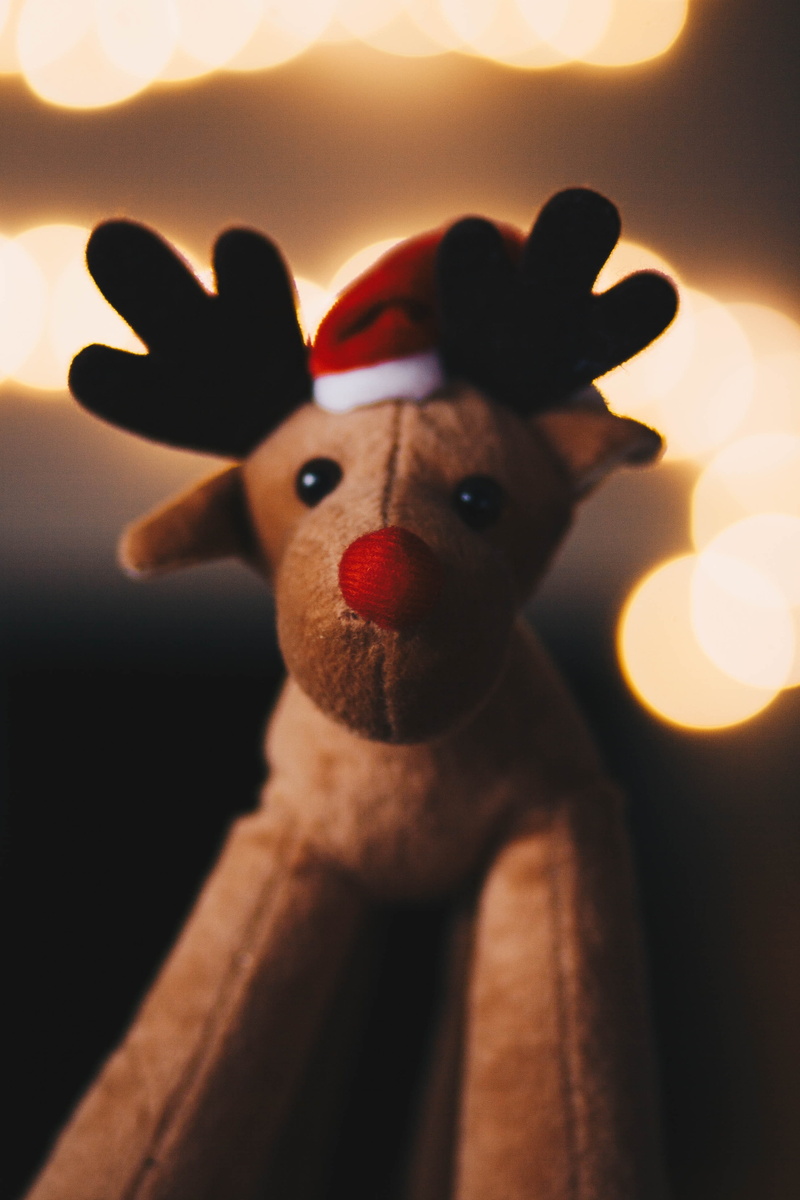 creativity, mammal, close-up, animal, art and craft, holiday, doll, representation, teddy bear, illuminated, christmas, indoors, plush toy, focus on foreground