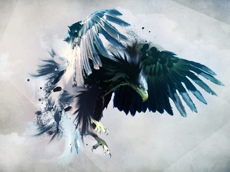 feather, vertebrate, bird, no people, green, feathers, bird of prey, mid-air, beauty in nature, flapping, artwork, animals in the wild, animals, white