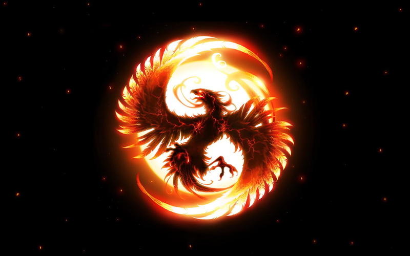 fenix, creative and graphics, 1080P, fire