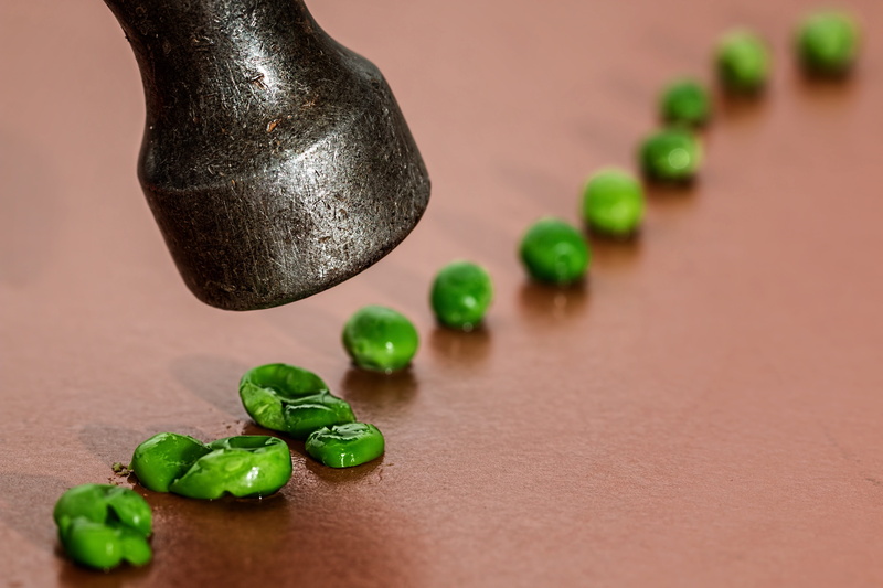 squash, copy space, 5K, pain, luxury, still life, hammer, food, brown, frighten, wood - material, aggression, abuse, seed, wellbeing, domination, green color